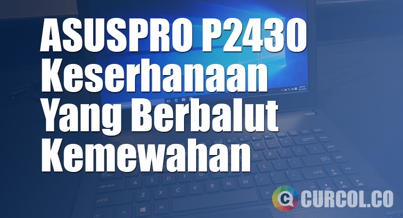 Laptop ASUSPRO P2430 