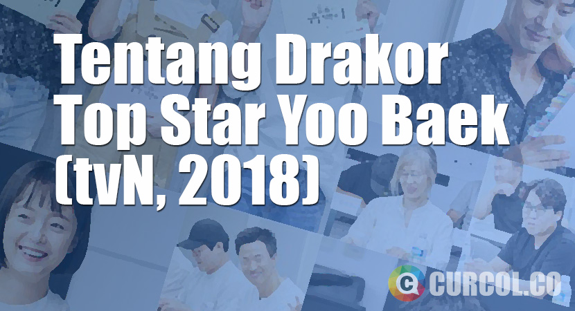 Tentang Drakor Top Star Yoo Baek (tvN, 2018)