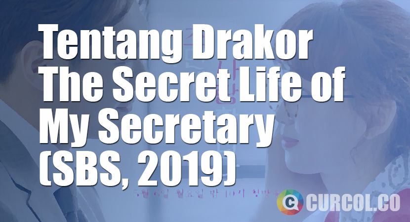 Tentang Drakor The Secret Life of My Secretary (SBS, 2019)