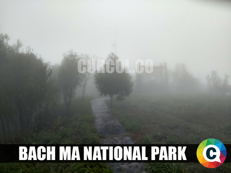 bach ma national park