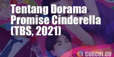 Tentang Dorama Promise Cinderella (TBS, 2021)