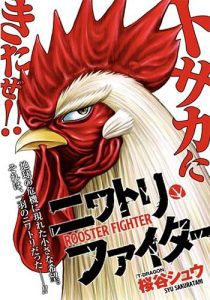 cover komik rooster fighter