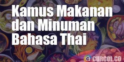 Kamus Makanan dan Minuman Bahasa Thai | 124  Terjemahan Kata / Frase Dunia Kuliner