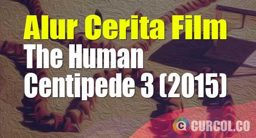 alur cerita film the human centipede 3
