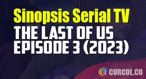 sinopsis the last of us episode 3 long long time