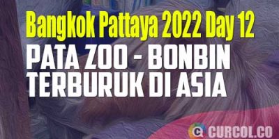 Dadakan ke Pata Zoo | Catper Bangkok Pattaya Day 12 (27 Oktober 2022)