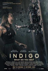 poster film indigo 2023